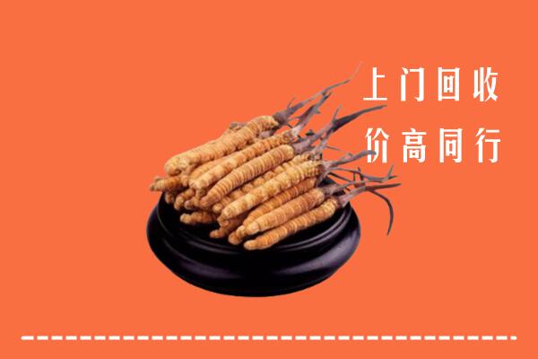 高价求购：沙湾县回收散虫草