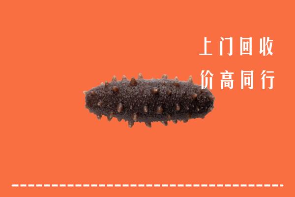 沙湾县回收海参
