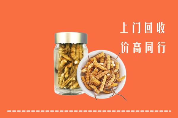 沙湾县回收冬虫夏草
